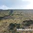  Land for sale in Sumba Timur East Nusa Tenggara, Paberiwai, Sumba Timur, East Nusa Tenggara