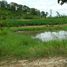  Grundstück zu verkaufen in Khok Charoen, Lop Buri, Khok Charoen