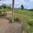  Land for sale in Tha Bunmi, Ko Chan, Tha Bunmi