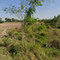  Land for sale in Mueang Nakhon Ratchasima, Nakhon Ratchasima, Suranari, Mueang Nakhon Ratchasima