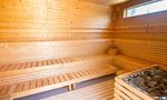 Sauna at Mountain Village 2
