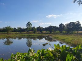 在Chorakhe, Nong Ruea出售的 土地, Chorakhe