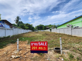  Grundstück zu verkaufen in Thalang, Phuket, Si Sunthon