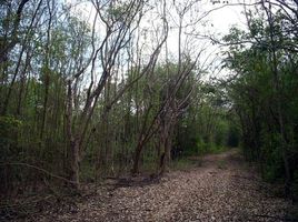  Land for sale in Bang Phae, Ratchaburi, Wat Kaeo, Bang Phae