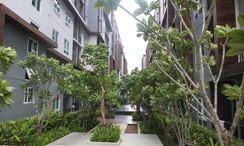 图片 3 of the Communal Garden Area at The Trust Central Pattaya