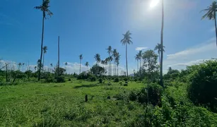 N/A Land for sale in Thung Sai, Nakhon Si Thammarat 