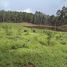  Land for sale in Amazonas, Rio Preto Da Eva, Amazonas