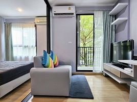 1 Schlafzimmer Wohnung zu verkaufen im Zcape I, Choeng Thale, Thalang