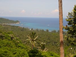  Grundstück zu verkaufen in Koh Phangan, Surat Thani, Koh Tao, Koh Phangan