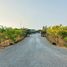 ขายที่ดิน ใน หนองโพธิ์, สุพรรณบุรี, หนองโพธิ์, หนองหญ้าไซ