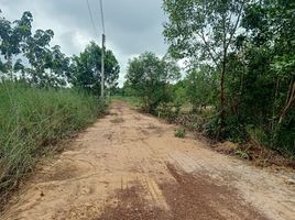  Grundstück zu verkaufen in Dau Tieng, Binh Duong, Dinh Thanh