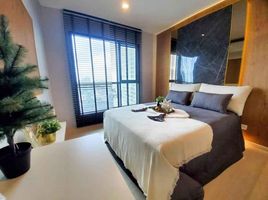 1 Schlafzimmer Wohnung zu vermieten im Life Sukhumvit 48, Phra Khanong