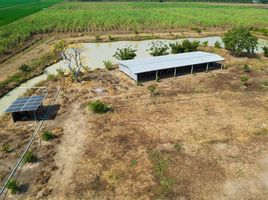  Land for sale in Suphan Buri, Thung Khli, Doem Bang Nang Buat, Suphan Buri