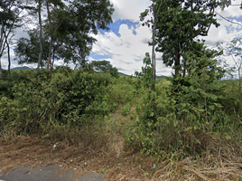  Land for sale in Pa Sang, Lamphun, Nakhon Chedi, Pa Sang