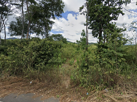  Land for sale in Nakhon Chedi, Pa Sang, Nakhon Chedi