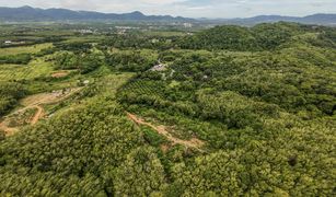 N/A Land for sale in Choeng Thale, Phuket 