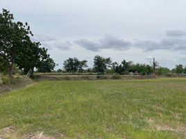  Grundstück zu verkaufen in Non Thai, Nakhon Ratchasima, Non Thai, Non Thai, Nakhon Ratchasima