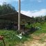  Land for sale in Thalang, Phuket, Pa Khlok, Thalang