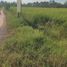  Land for sale in Yasothon, Fa Yat, Maha Chana Chai, Yasothon