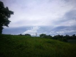 Land for sale in Guanacaste, Tilaran, Guanacaste