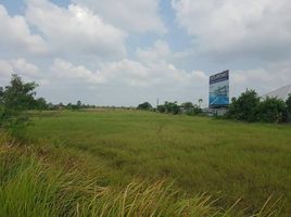  Land for sale in Chon Buri, Map Pong, Phan Thong, Chon Buri