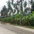  Land for sale in Surat Thani, Bo Phut, Koh Samui, Surat Thani