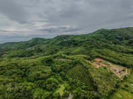  Grundstück zu verkaufen in Thalang, Phuket, Choeng Thale