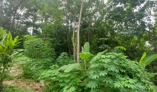 N/A Land for sale in Chalong, Phuket 