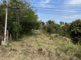  Grundstück zu verkaufen in Pak Chong, Nakhon Ratchasima, Nong Sarai