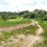  Land for sale in Phuket, Sakhu, Thalang, Phuket