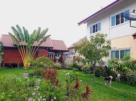 3 Schlafzimmer Haus zu verkaufen in Mueang Yasothon, Yasothon, Nai Mueang