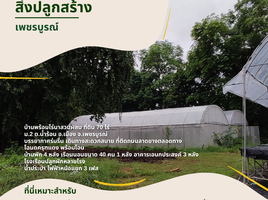 ขายที่ดิน ใน เมืองเพชรบูรณ์ เพชรบูรณ์, น้ำร้อน, เมืองเพชรบูรณ์