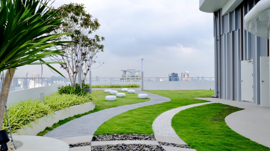 Photo 1 of the Communal Garden Area at Supalai Elite Phayathai