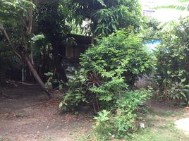  Land for sale in Bangkok, Khlong Khwang, Phasi Charoen, Bangkok