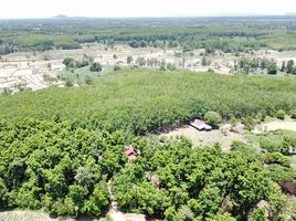  Grundstück zu verkaufen in Mueang Mukdahan, Mukdahan, Ban Khok