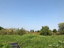  Land for sale in Nonthaburi, Bang Rak Noi, Mueang Nonthaburi, Nonthaburi