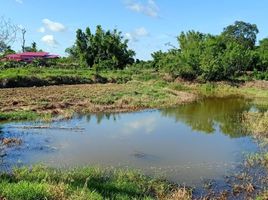  Земельный участок for sale in Mueang Chaiyaphum, Chaiyaphum, Nong Na Saeng, Mueang Chaiyaphum