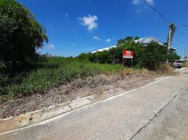  Land for sale in Ban Pho, Chachoengsao, Don Sai, Ban Pho