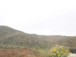  Grundstück zu verkaufen in Ensenada, Baja California, Ensenada