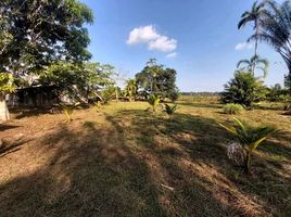  Land for sale in Brazil, Careiro, Amazonas, Brazil