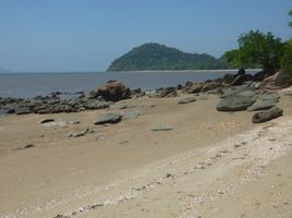  Grundstück zu verkaufen in Mueang Ranong, Ranong, Ngao