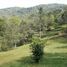  Land for sale in AsiaVillas, Mora, San Jose, Costa Rica