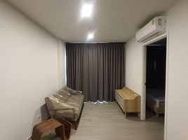 1 Schlafzimmer Wohnung zu verkaufen im Dolce Lasalle, Bang Na