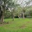  Land for sale in Los Chiles, Alajuela, Los Chiles