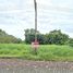  Land for sale in Lam Luk Ka, Pathum Thani, Khu Khot, Lam Luk Ka