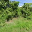  Land for sale in Mueang Uthai Thani, Uthai Thani, Sakae Krang, Mueang Uthai Thani