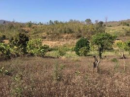  Land for sale in Pai, Mae Hong Son, Wiang Nuea, Pai