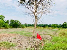  Grundstück zu verkaufen in Nong Suea, Pathum Thani, Bueng Ba