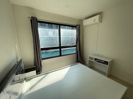1 Schlafzimmer Wohnung zu verkaufen im iCondo Green Space Sukhumvit 77 Phase 1, Lat Krabang, Lat Krabang
