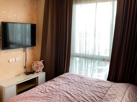 1 Bedroom Condo for sale at Lumpini Park Riverside Rama 3, Bang Phongphang, Yan Nawa, Bangkok, Thailand